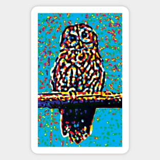 Toot Sweet On Blue - Image Of An Owl On A Perch Sticker